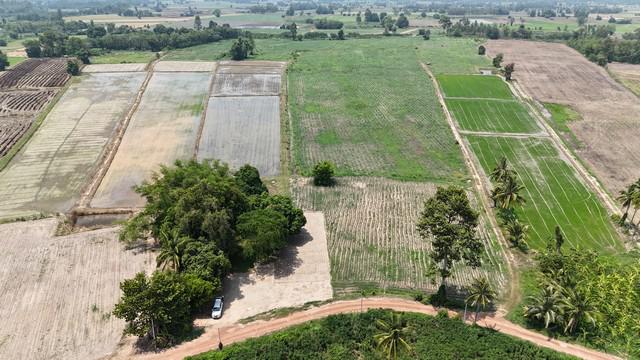 ที่ดิน 1875000 พิษณุโลก บางระกำ ปลักแรด ที่ดิน 1875000 พิษณุโลก บางระกำ ปลักแรด