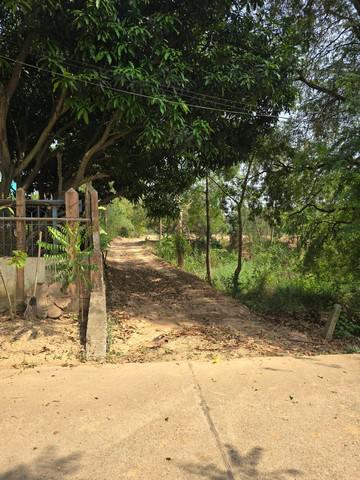 ที่ดิน 12000000 พิษณุโลก บางระกำ บางระกำ ที่ดิน 12000000 พิษณุโลก บางระกำ บางระกำ