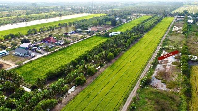 ที่ดิน 1300000 ปทุมธานี หนองเสือ บึงชำอ้อ ที่ดิน 1300000 ปทุมธานี หนองเสือ บึงชำอ้อ