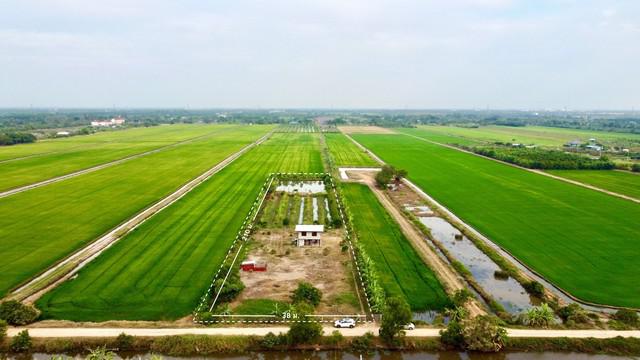 ที่ดิน 8400000 ปทุมธานี ธัญบุรี ลำผักกูด ที่ดิน 8400000 ปทุมธานี ธัญบุรี ลำผักกูด