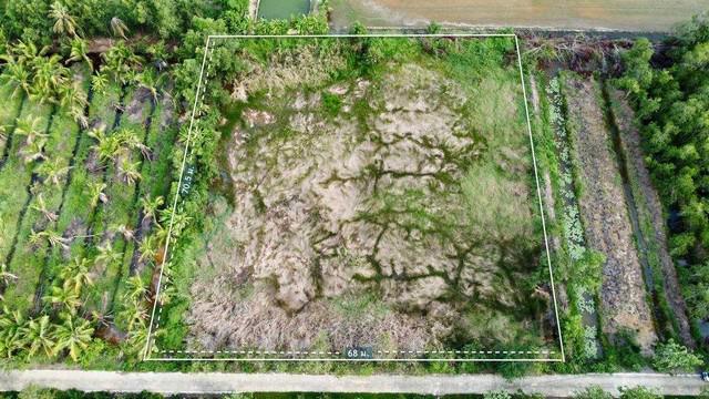 ที่ดิน 3900000 ปทุมธานี หนองเสือ บึงบา ที่ดิน 3900000 ปทุมธานี หนองเสือ บึงบา