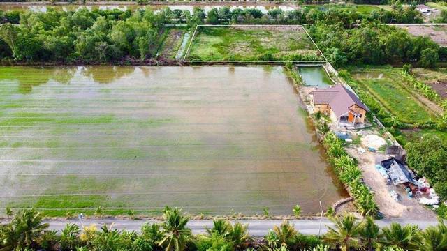 ที่ดิน 3900000 ปทุมธานี หนองเสือ บึงบา