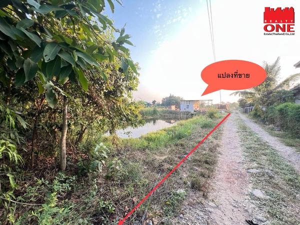 ที่ดิน 1784000 กรุงเทพมหานคร เขตหนองจอก ลำต้อยติ่ง ที่ดิน 1784000 กรุงเทพมหานคร เขตหนองจอก ลำต้อยติ่ง