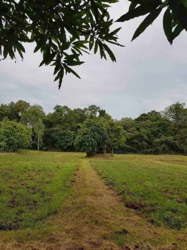 ที่ดิน 900000 เชียงใหม่ ดอยสะเก็ด ลวงเหนือ ที่ดิน 900000 เชียงใหม่ ดอยสะเก็ด ลวงเหนือ