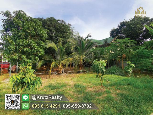 ที่ดิน 12000 นนทบุรี ปากเกร็ด บางพูด ที่ดิน 12000 นนทบุรี ปากเกร็ด บางพูด