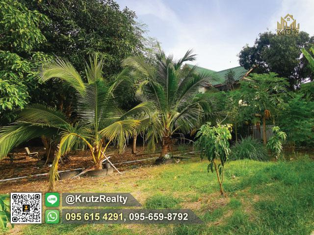 ที่ดิน 12000 นนทบุรี ปากเกร็ด บางพูด ที่ดิน 12000 นนทบุรี ปากเกร็ด บางพูด