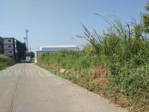 ที่ดิน 2600000 นนทบุรี บางใหญ่ บางใหญ่ ที่ดิน 2600000 นนทบุรี บางใหญ่ บางใหญ่
