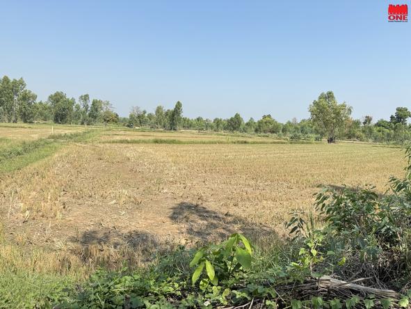 ที่ดิน 1350000 พิษณุโลก วังทอง ดินทอง ที่ดิน 1350000 พิษณุโลก วังทอง ดินทอง