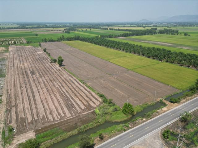 ที่ดิน 3500000 พิษณุโลก พรหมพิราม ทับยายเชียง ที่ดิน 3500000 พิษณุโลก พรหมพิราม ทับยายเชียง