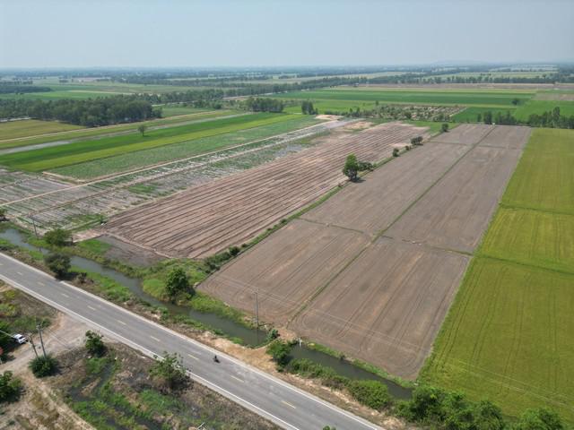 ที่ดิน 3500000 พิษณุโลก พรหมพิราม ทับยายเชียง ที่ดิน 3500000 พิษณุโลก พรหมพิราม ทับยายเชียง