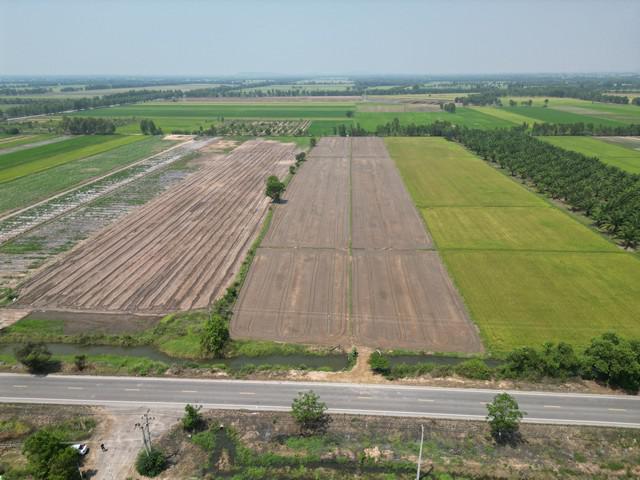 ที่ดิน 3500000 พิษณุโลก พรหมพิราม ทับยายเชียง ที่ดิน 3500000 พิษณุโลก พรหมพิราม ทับยายเชียง