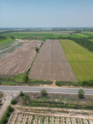 ที่ดิน 3500000 พิษณุโลก พรหมพิราม ทับยายเชียง ที่ดิน 3500000 พิษณุโลก พรหมพิราม ทับยายเชียง