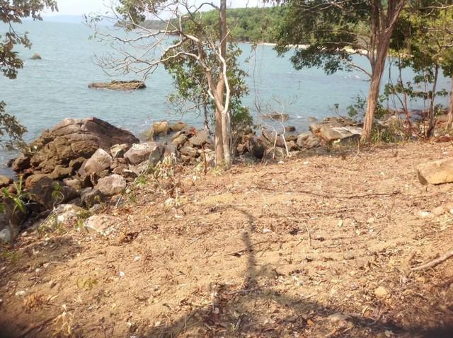 ที่ดิน 48000000 ตราด คลองใหญ่ หาดเล็ก ที่ดิน 48000000 ตราด คลองใหญ่ หาดเล็ก