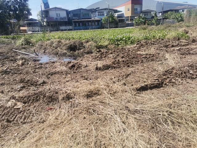 ที่ดิน 10710000 กรุงเทพมหานคร เขตประเวศ หนองบอน ที่ดิน 10710000 กรุงเทพมหานคร เขตประเวศ หนองบอน