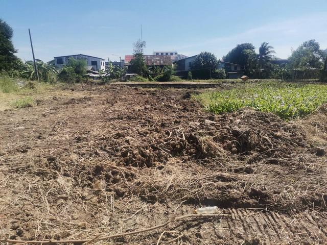 ที่ดิน 10710000 กรุงเทพมหานคร เขตประเวศ หนองบอน ที่ดิน 10710000 กรุงเทพมหานคร เขตประเวศ หนองบอน