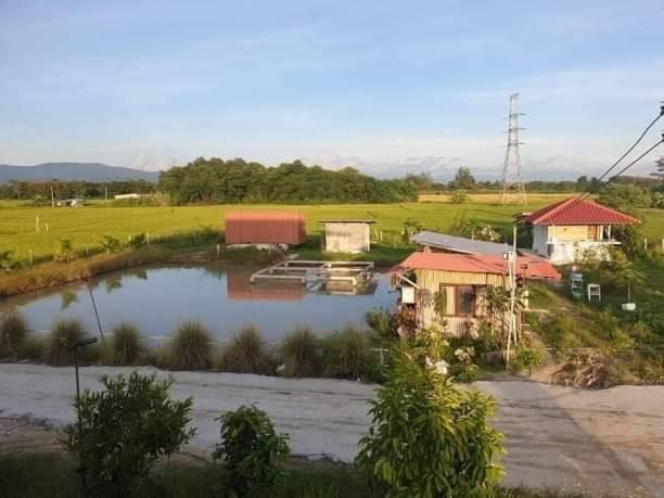 บ้านเดี่ยว 7500000 เชียงใหม่ แม่ริม เหมืองแก้ว บ้านเดี่ยว 7500000 เชียงใหม่ แม่ริม เหมืองแก้ว