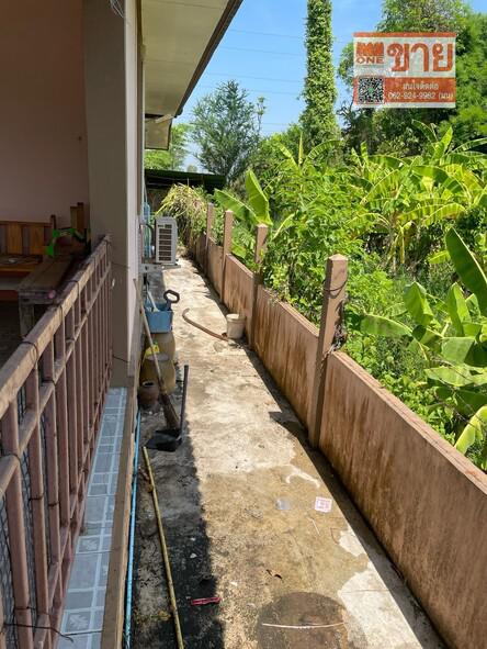บ้านเดี่ยว 950000 พิษณุโลก บางระกำ ท่านางงาม บ้านเดี่ยว 950000 พิษณุโลก บางระกำ ท่านางงาม