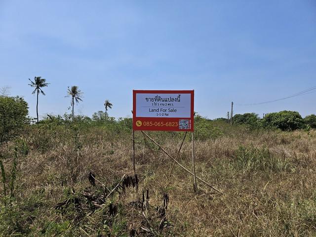 ที่ดิน 1000000 ประจวบคีรีขันธ์ หัวหิน หินเหล็กไฟ ที่ดิน 1000000 ประจวบคีรีขันธ์ หัวหิน หินเหล็กไฟ