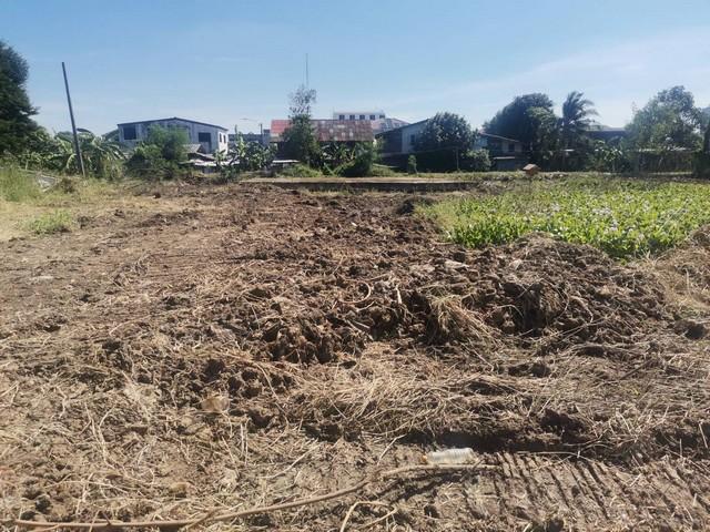 ที่ดิน 42000 กรุงเทพมหานคร เขตประเวศ หนองบอน ที่ดิน 42000 กรุงเทพมหานคร เขตประเวศ หนองบอน