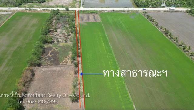 ที่ดิน 1589999 นนทบุรี ไทรน้อย ไทรใหญ่ ที่ดิน 1589999 นนทบุรี ไทรน้อย ไทรใหญ่