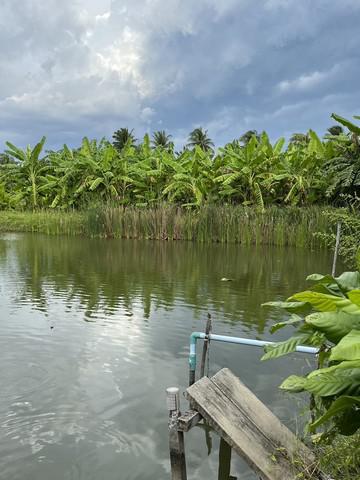 ที่ดิน 0 นครปฐม สามพราน บางช้าง