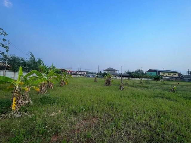 ที่ดิน 10240000 เชียงใหม่ ไชยปราการ หนองบัว ที่ดิน 10240000 เชียงใหม่ ไชยปราการ หนองบัว