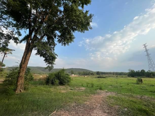 ที่ดิน 420000 ลำพูน เมืองลำพูน ในเมือง ที่ดิน 420000 ลำพูน เมืองลำพูน ในเมือง