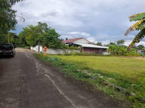 ที่ดิน 8000 เชียงใหม่ สันกำแพง แม่ปูคา ที่ดิน 8000 เชียงใหม่ สันกำแพง แม่ปูคา