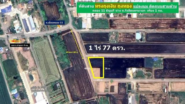 ที่ดิน 3800000 ปทุมธานี ธัญบุรี บึงน้ำรักษ์ ที่ดิน 3800000 ปทุมธานี ธัญบุรี บึงน้ำรักษ์