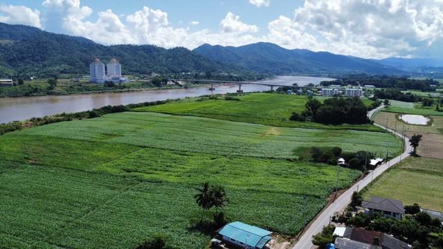 ที่ดิน 75000000 เชียงราย เชียงของ เวียง ที่ดิน 75000000 เชียงราย เชียงของ เวียง