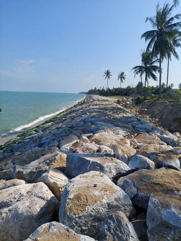 ที่ดิน 61283750 นครศรีธรรมราช ท่าศาลา ท่าศาลา ที่ดิน 61283750 นครศรีธรรมราช ท่าศาลา ท่าศาลา