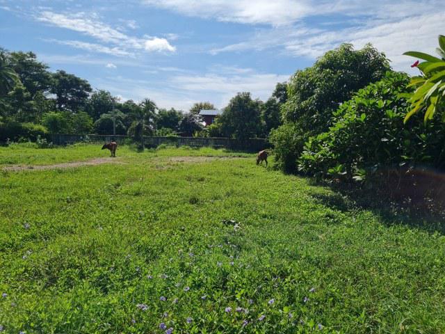 ที่ดิน 2700000 ราชบุรี ปากท่อ ปากท่อ ที่ดิน 2700000 ราชบุรี ปากท่อ ปากท่อ