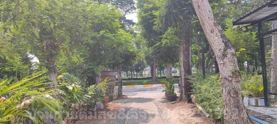 ที่ดิน 7280000 ปทุมธานี คลองหลวง คลองสอง ที่ดิน 7280000 ปทุมธานี คลองหลวง คลองสอง