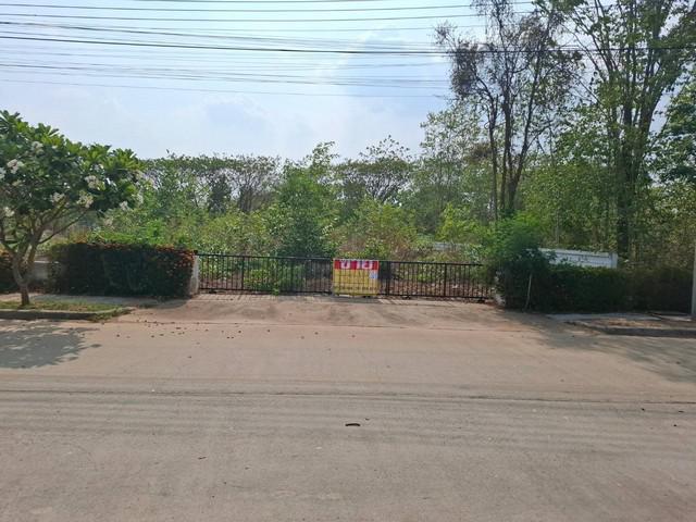 ที่ดิน 13200000 ขอนแก่น เมืองขอนแก่น เมืองเก่า ที่ดิน 13200000 ขอนแก่น เมืองขอนแก่น เมืองเก่า