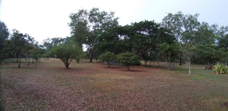 ที่ดิน 85000000 นครราชสีมา ปากช่อง ขนงพระ ที่ดิน 85000000 นครราชสีมา ปากช่อง ขนงพระ