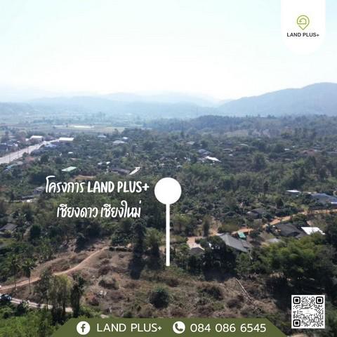 ที่ดิน 275000 เชียงใหม่ เชียงดาว เมืองนะ ที่ดิน 275000 เชียงใหม่ เชียงดาว เมืองนะ