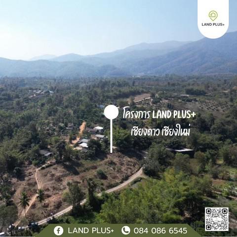 ที่ดิน 275000 เชียงใหม่ เชียงดาว เมืองนะ ที่ดิน 275000 เชียงใหม่ เชียงดาว เมืองนะ