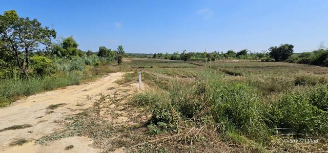 ที่ดิน 290000 บึงกาฬ เซกา เซกา ที่ดิน 290000 บึงกาฬ เซกา เซกา