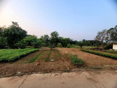 ที่ดิน 780000 ขอนแก่น เมืองขอนแก่น บึงเนียม