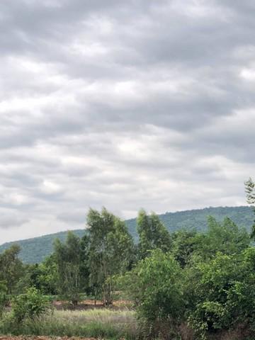 ที่ดิน 400000 ลพบุรี พัฒนานิคม ช่องสาริกา ที่ดิน 400000 ลพบุรี พัฒนานิคม ช่องสาริกา