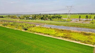 ที่ดิน 675000 ปทุมธานี หนองเสือ บึงบอน