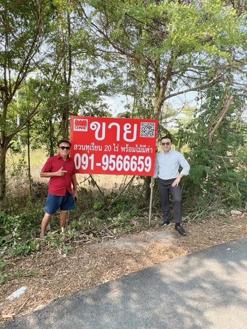 ที่ดิน 29000000 ปราจีนบุรี เมืองปราจีนบุรี ดงขี้เหล็ก ที่ดิน 29000000 ปราจีนบุรี เมืองปราจีนบุรี ดงขี้เหล็ก