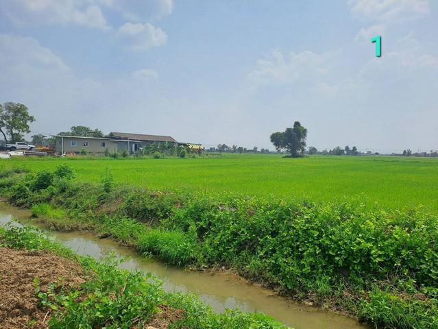 ที่ดิน 1200000 พระนครศรีอยุธยา ท่าเรือ จำปา ที่ดิน 1200000 พระนครศรีอยุธยา ท่าเรือ จำปา