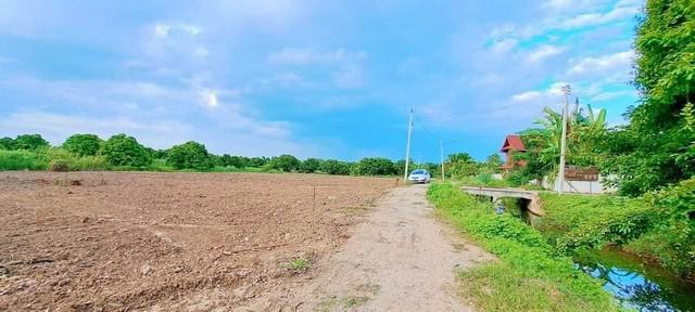 ที่ดิน 3500 เชียงใหม่ สารภี สันทราย ที่ดิน 3500 เชียงใหม่ สารภี สันทราย