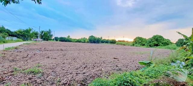 ที่ดิน 3500 เชียงใหม่ สารภี สันทราย ที่ดิน 3500 เชียงใหม่ สารภี สันทราย