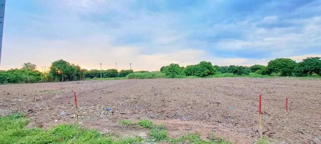 ที่ดิน 3500 เชียงใหม่ สารภี สันทราย ที่ดิน 3500 เชียงใหม่ สารภี สันทราย