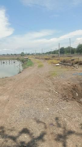 ที่ดิน 1900000 ฉะเชิงเทรา บางปะกง บางปะกง ที่ดิน 1900000 ฉะเชิงเทรา บางปะกง บางปะกง