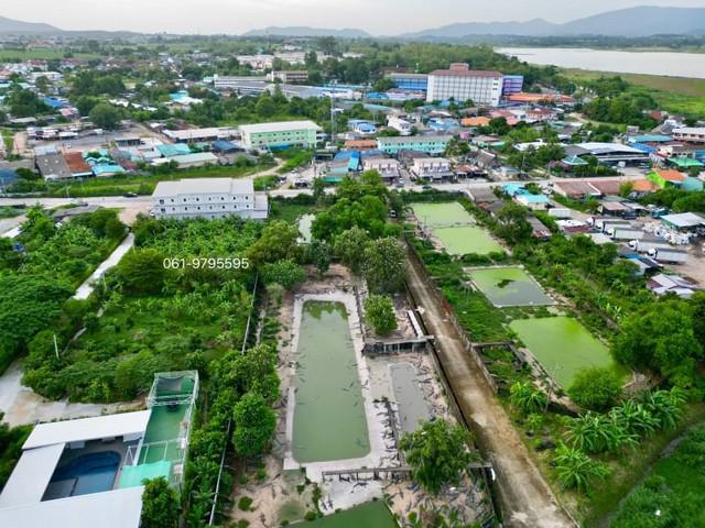 ที่ดิน 85871250 ชลบุรี ศรีราชา หนองขาม ที่ดิน 85871250 ชลบุรี ศรีราชา หนองขาม