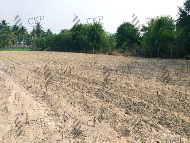 ที่ดิน 10000000 ระยอง บ้านฉาง สำนักท้อน ที่ดิน 10000000 ระยอง บ้านฉาง สำนักท้อน