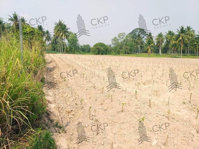 ที่ดิน 10000000 ระยอง บ้านฉาง สำนักท้อน ที่ดิน 10000000 ระยอง บ้านฉาง สำนักท้อน